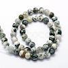 Natural Tree Agate Beads Strands G-I199-03-8mm-5