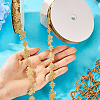 20 Yards Malan Flower and Butterfly Polyester Lace Trim OCOR-TAC0016-18G-5