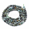 Natural African Turquoise(Jasper) Beads Strands G-S361-4mm-002-2