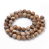 Natural Picture Jasper Beads Strands G-S259-27-10mm-2
