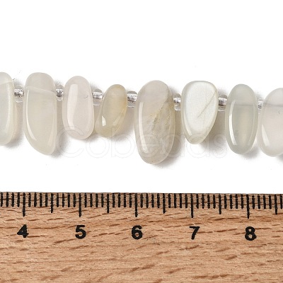 Natural Moonstone Beads Strands G-P604-A27-01-1