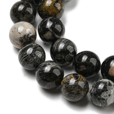 Natural Black Silver Leaf Jasper Beads Strands G-R494-A17-03-1