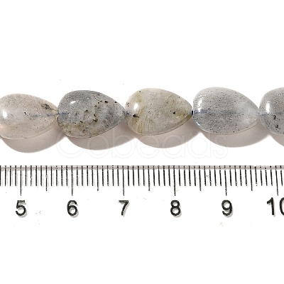 Natural Labradorite Beads Strands G-I377-A21-1