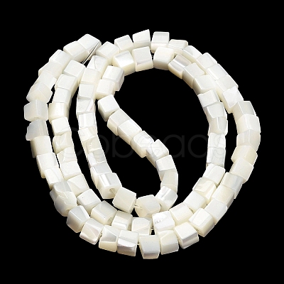 Natural Trochid Shell/Trochus Shell Beads Strands SHEL-C010-05B-1