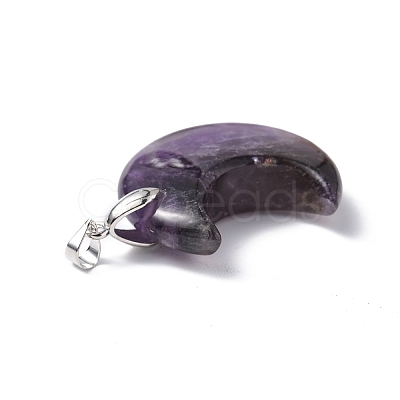 Natural Amethyst Pendants G-Z022-04C-1