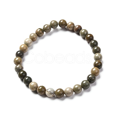 Natural Silver Leaf Jasper Round Beads Stretch Bracelet for Men Women BJEW-JB06824-01-1
