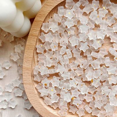30Pcs Frosted Glass Beads PW-WGAB1F9-02-1