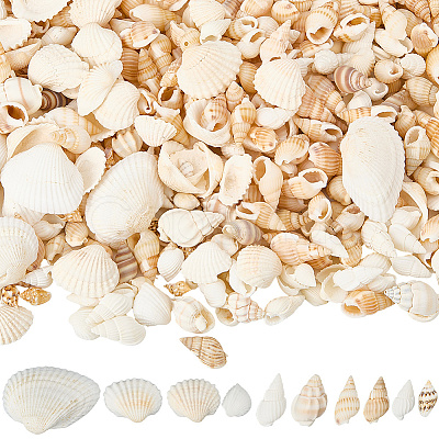 Natural Shell Beads SHEL-SP0001-03-1