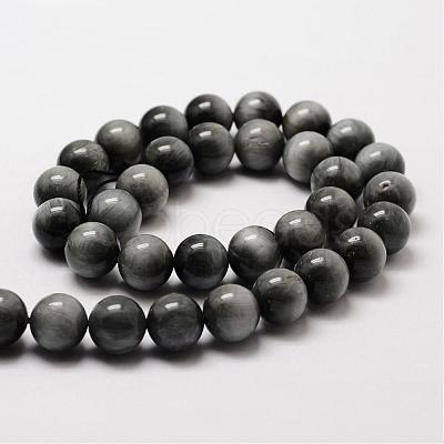 Natural Hawk's Eye Round Beads Strands G-O143-01-12mm-1