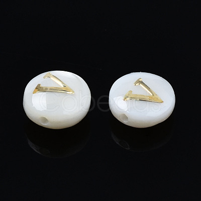 Natural Freshwater Shell Beads SHEL-S278-036V-1