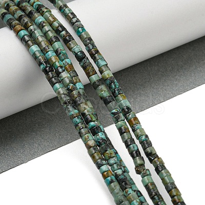 Natural African Turquoise(Jasper) Beads Strands G-C084-D03-02-1