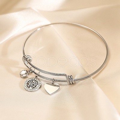 Stainless Steel Micro Pave Cubic Zirconia Charm Bangles PW-WG9247A-02-1