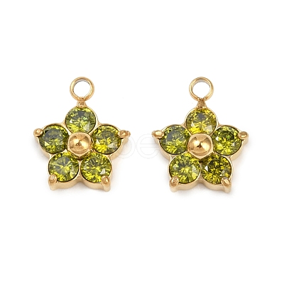 304 Stainless Steel Micro Pave Cubic Zirconia Charms STAS-B088-01G-04-1