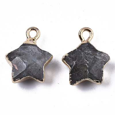 Natural Labradorite Pendants G-N326-36B-1