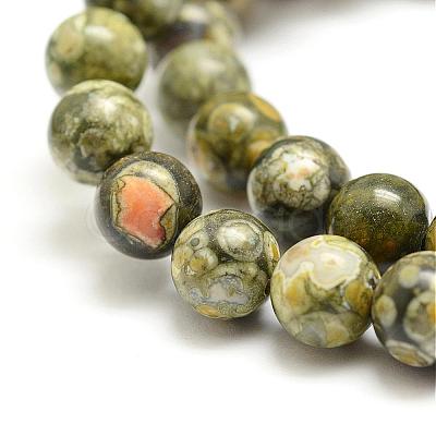 Natural Rhyolite Jasper Bead Strands G-G684-01-6mm-1