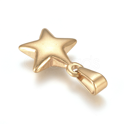304 Stainless Steel Charms STAS-I127-067G-02-1
