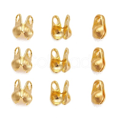Iron Bead Tips IFIN-R199-01G-1