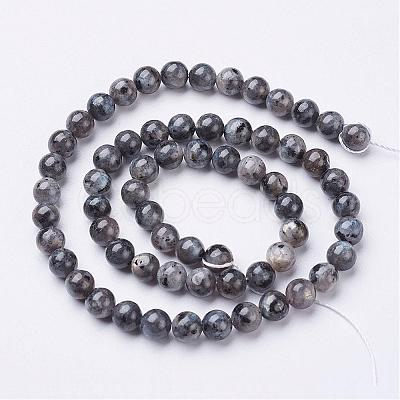 Natural Larvikite Beads Strands GSR6mmC128-1