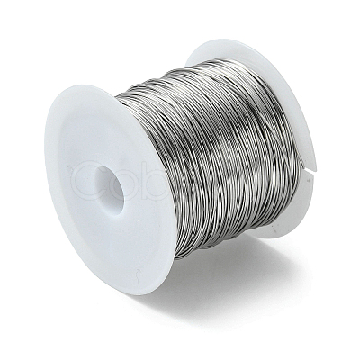 Non-Tarnish 316 Surgical Stainless Steel Wire TWIR-L004-01A-P-1