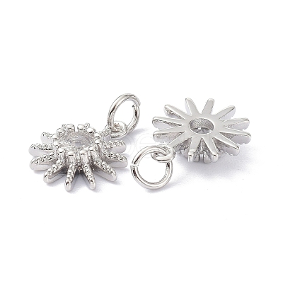 Brass Cubic Zirconia Charms ZIRC-C022-18P-1
