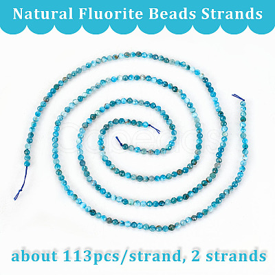 Olycraft 2 Strands Natural Apatite Beads Strands G-OC0004-41-1