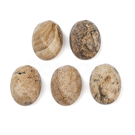 Natural Picture Jasper Cabochons G-Q186-01B-1
