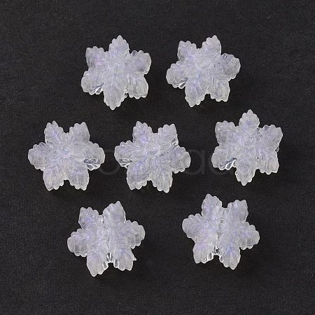 Transparent Acrylic Beads OACR-P007-30-1