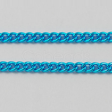 Electrophoresis Iron Twisted Chains CH-S575-38-1