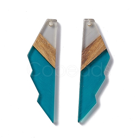Transparent Resin & Walnut Wood Big Pendants RESI-M027-09J-1