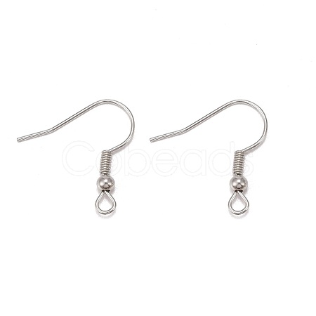 Iron Earring Hooks E135-1