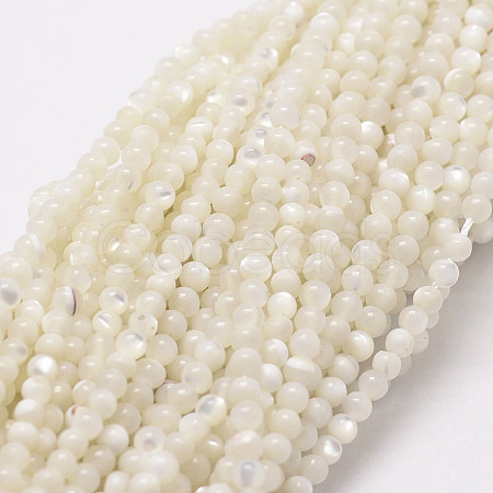 Natural White Shell Beads G-N0190-11-2mm-1