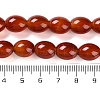 Natural Carnelian Beads Strands G-NH0019-C01-02-5