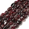 Natural Garnet Beads Strands G-L608-A06-01-1