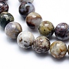 Natural Pietersite Beads Strands G-G823-05-10mm-3