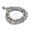 Natural Dalmatian Jasper Bead Strands X-G-R345-6mm-51-2
