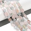 Natural Morganite Beads Strands G-P497-01C-57-2