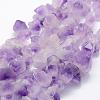 Natural Amethyst Beads Strands G-P322-09-1