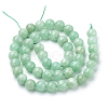 Natural Myanmar Jade/Burmese Jade Beads Strands G-T064-22-8mm-2