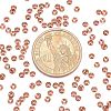Brass Tiny Bead Cones X-KK-O043-04RG-2
