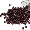TOHO 6/0 Round Beads SEED-XTR06-0502-1