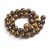 Natural Tiger Eye Beads Strands Z0RQX014-2