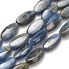 Natural Kyanite Beads Strands G-H335-D01-6x12mm-2