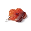 Natural Red Agate Big Pendants G-B040-01P-09-3