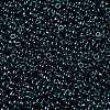 MIYUKI Round Rocailles Beads X-SEED-G009-RR0362-3