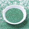 MIYUKI Delica Beads X-SEED-J020-DB1182-3