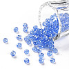6/0 Glass Seed Beads SEED-A006-4mm-106-1
