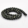 Natural Kambaba Jasper Beads Strands G-N0120-09-6mm-2