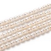 Natural Cultured Freshwater Pearl Beads Strands PEAR-L033-59-1