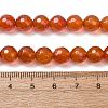 Natural Carnelian Beads Strands G-C280-B10-8mm-8