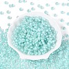 FGB Inside Colours Transparent Glass Seed Beads SEED-T009-01C-1